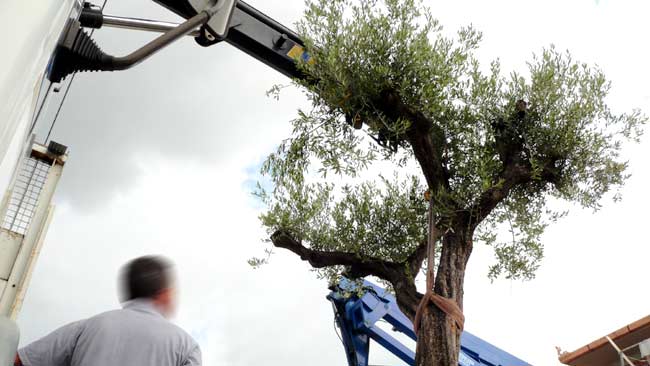 Ristrutturazione hotel con giardino